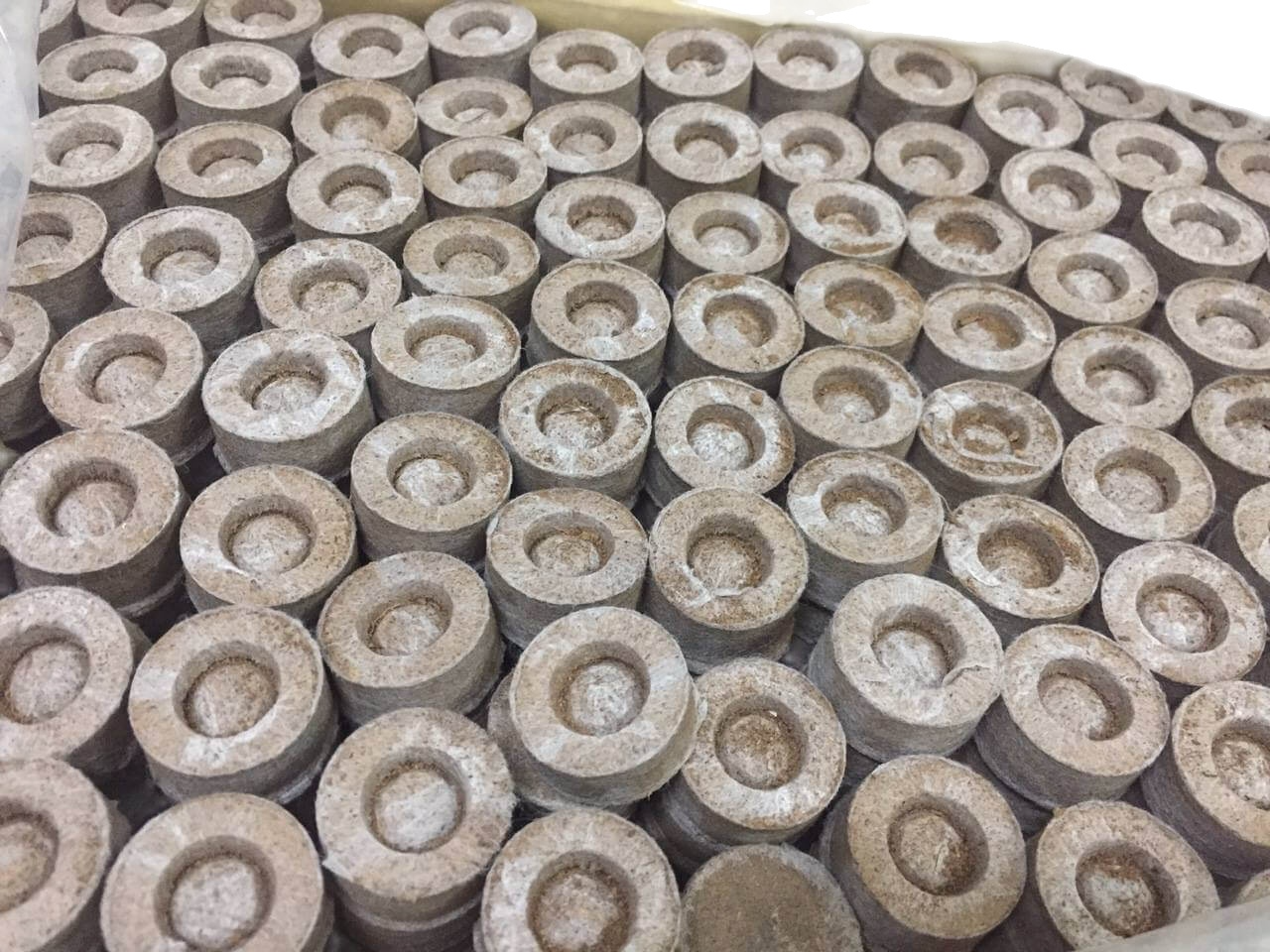 100 Viên Nén Ươm Hạt , Viên nén xơ dừa giá rẻ