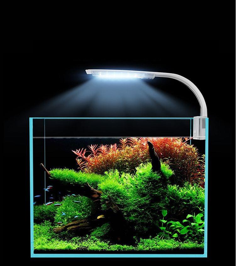 Đèn led X5 siêu sáng dành cho bể cá, bể thủy sinh (24 bóng)
