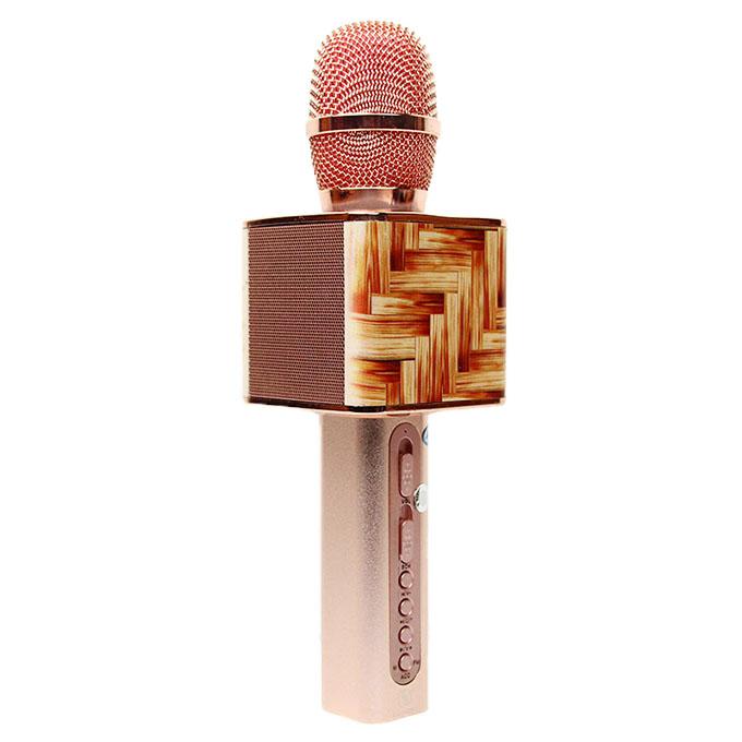 [HCM]Micro Karaoke Ys-11F