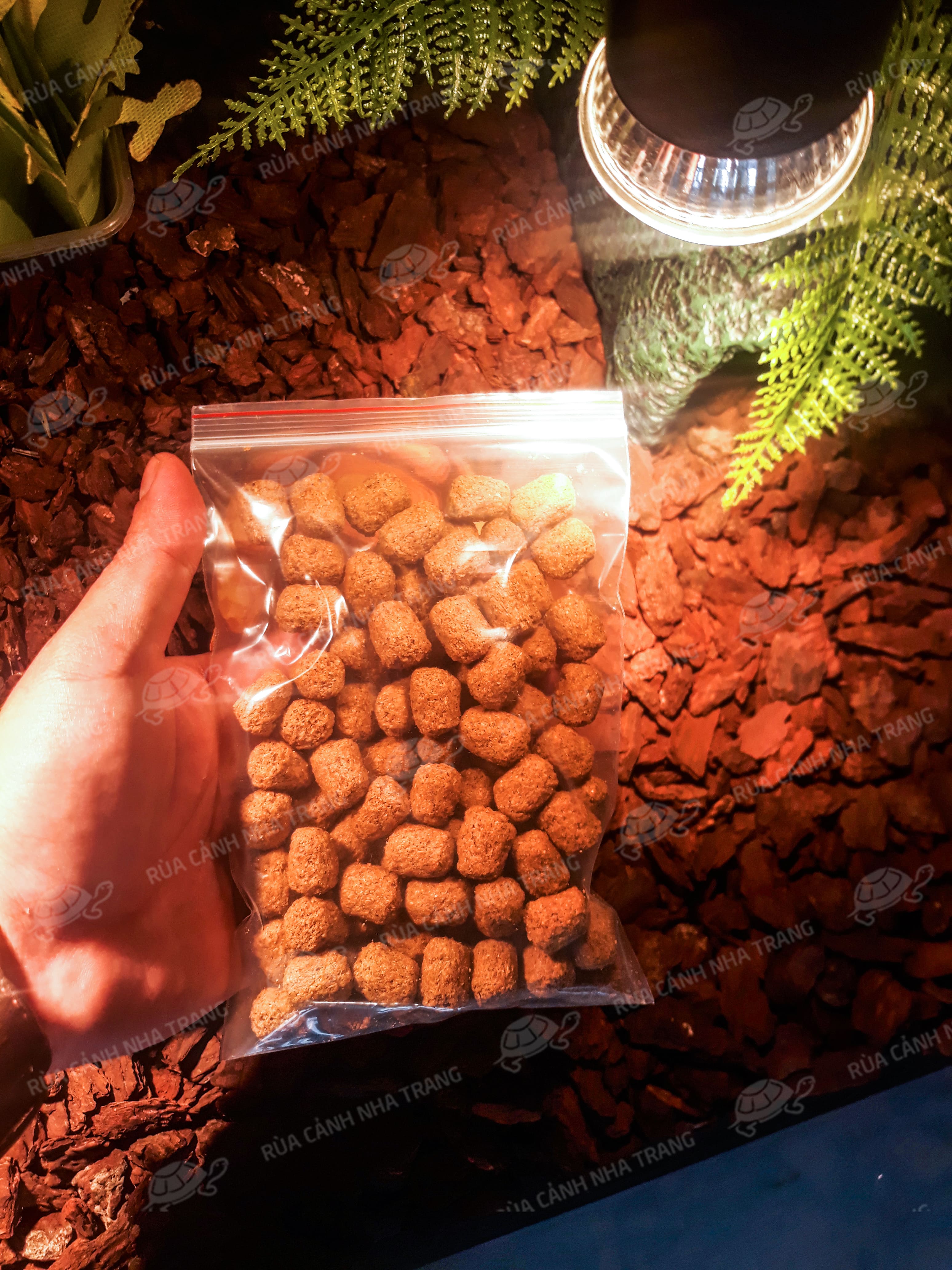 THỨC ĂN CHO RÙA, THÚ CƯNG BÒ SÁT [MAZURI 5M21]