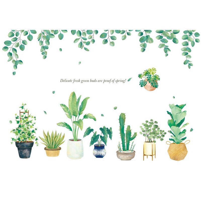 Decal dán tường Chậu Cây Cảnh Chỉ Cần Bóc Và Dán trên bất kì bề mặt nào