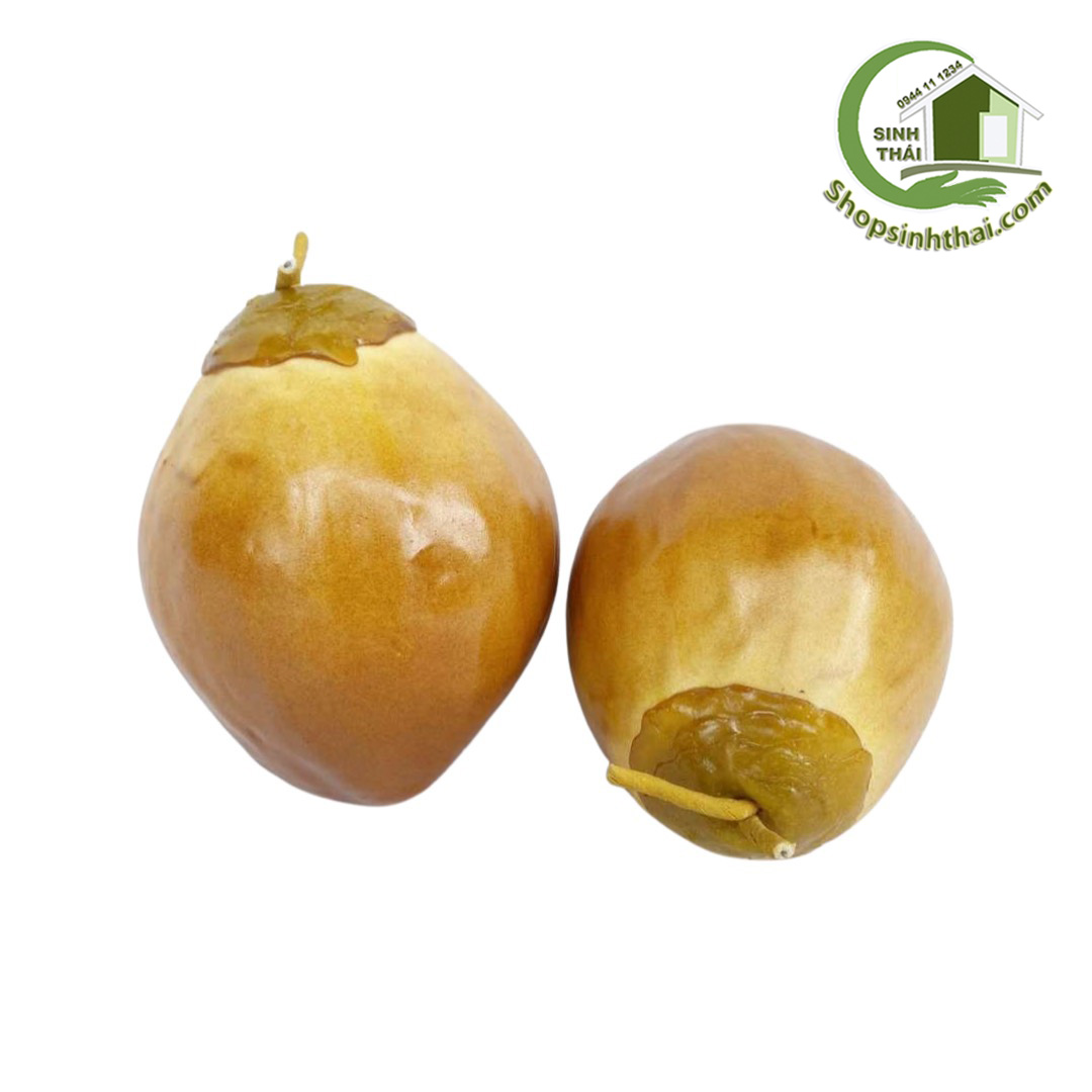 Trái dừa xiêm màu nâu - quả dừa giả cao cấp