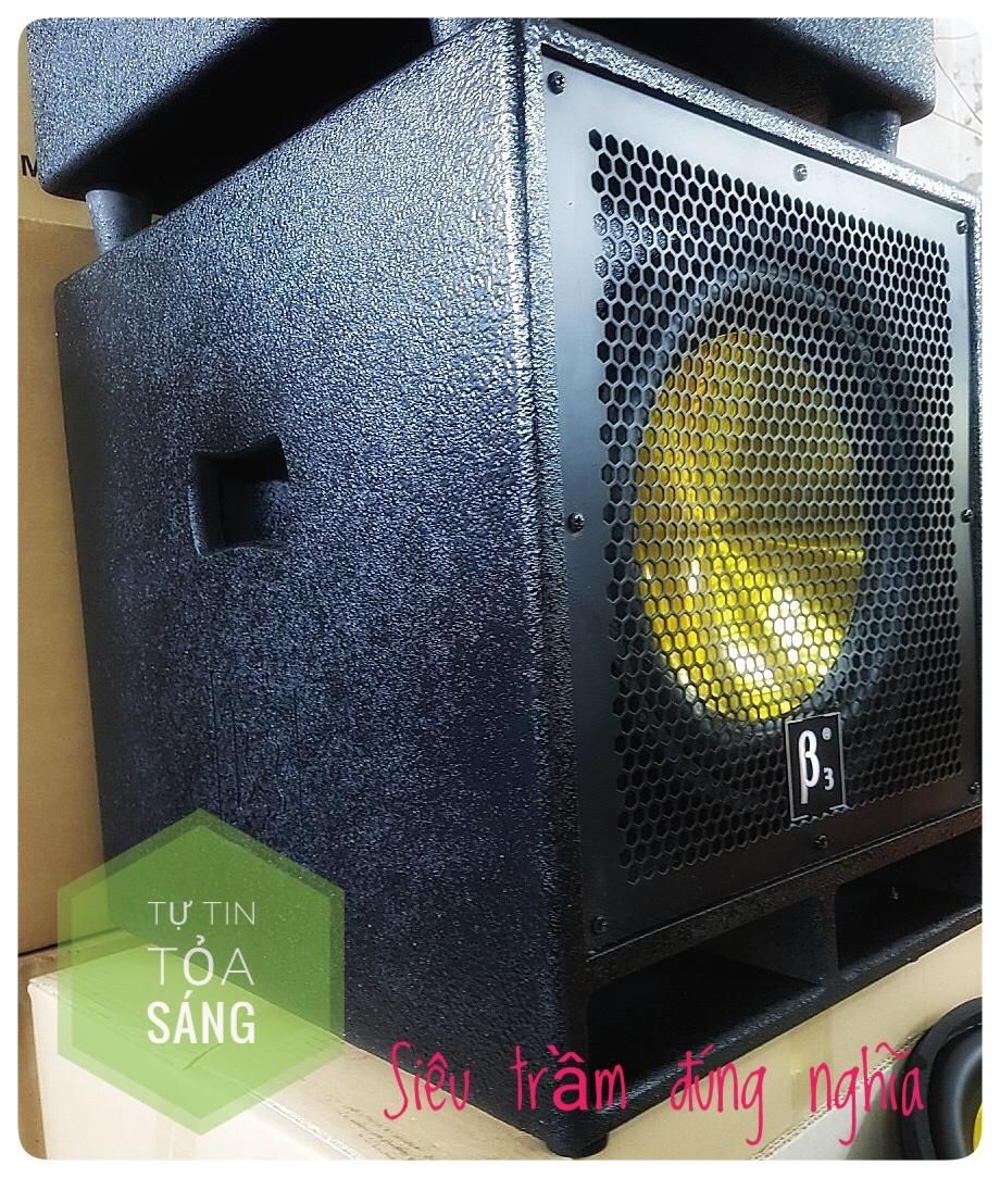 Loa Siêu trầm B3 bass 30 cm