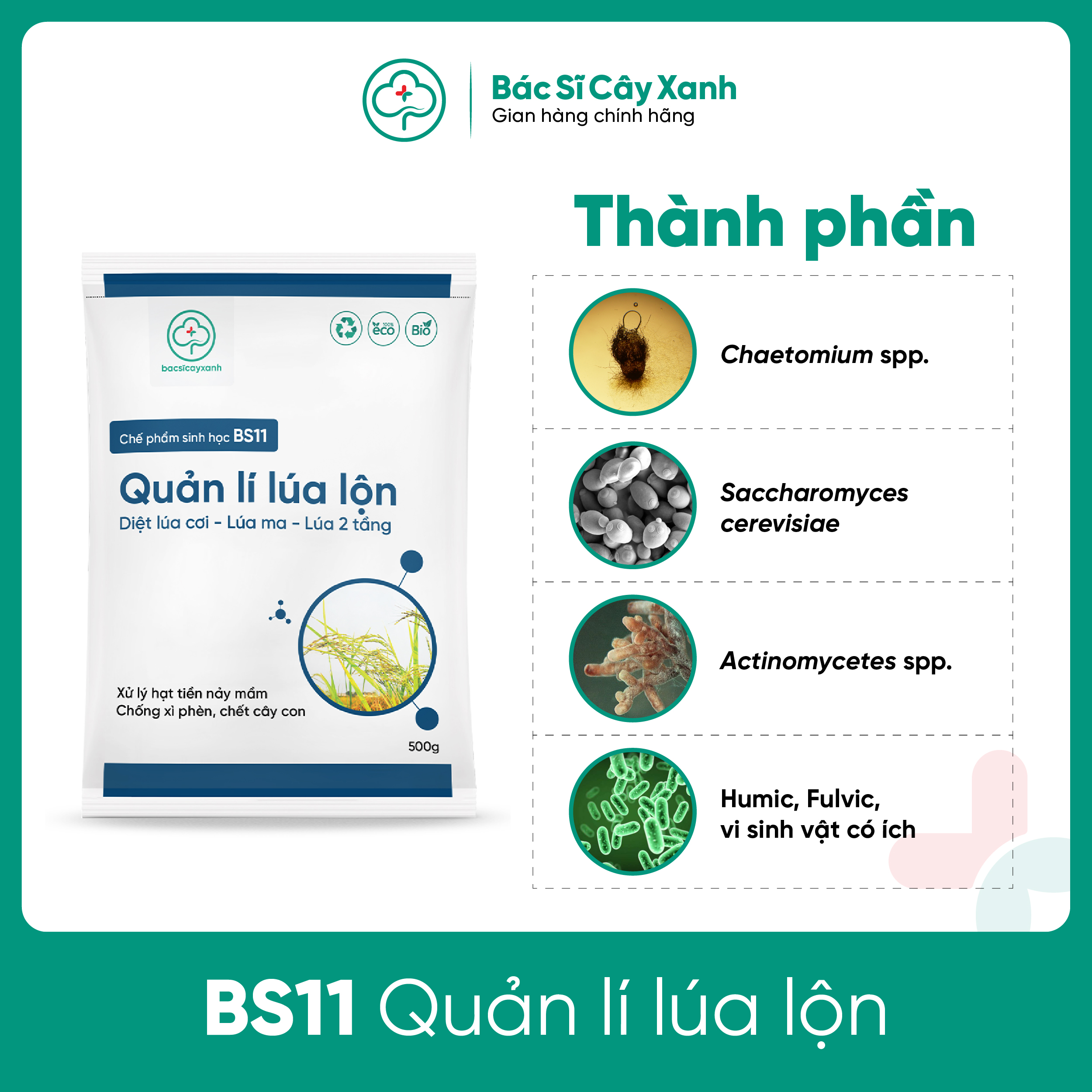 Combo 5 gói BS11 Diệt Lúa Lộn - Quản Lý Lúa Cỏ Lúa Ma Hai Tầng - Chống Xì Phèn Không Ảnh Hưởng Lúa Sạ - Bác Sĩ Cây Xanh