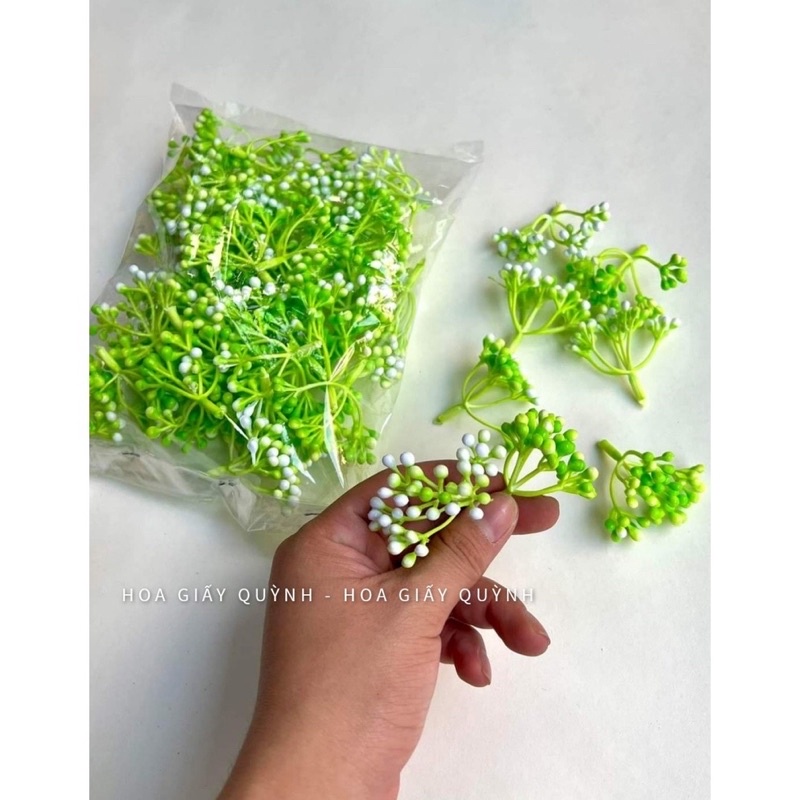 Cỏ điểm cụm hạt bi -100gr