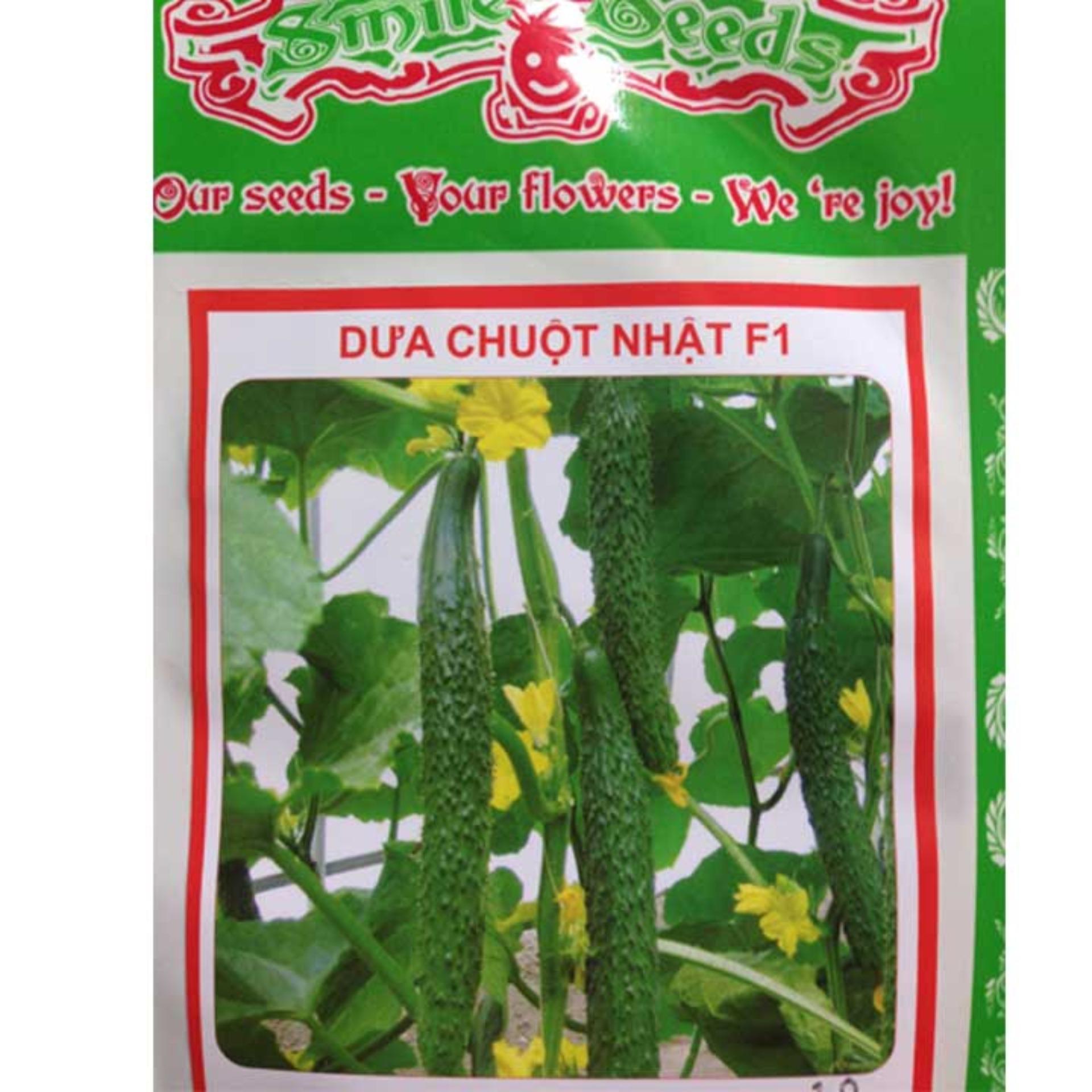 Hạt giống dưa chuột Nhật Bản F1