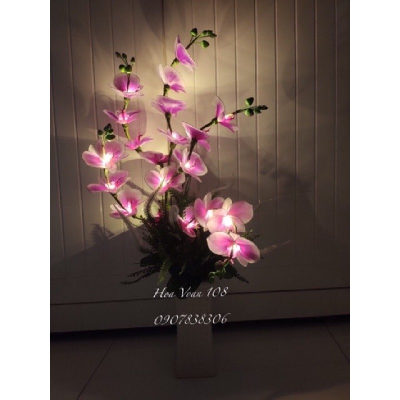 Chậu hoa voan lan hồ điệp cao 75cm( có đèn trắng)