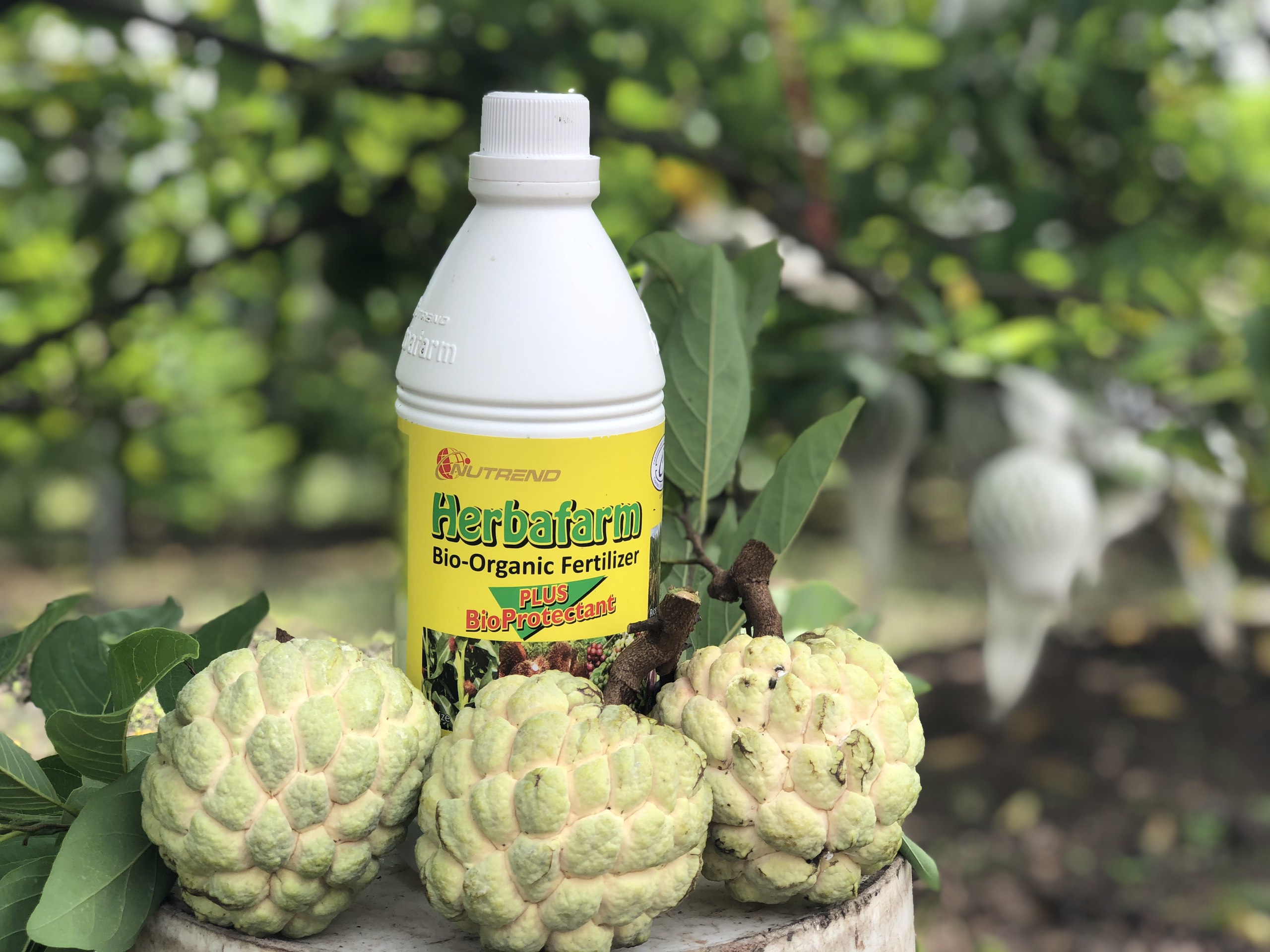 Phân bón hữu cơ Sinh học Herbafarm 5L (CAN 5 LÍT)