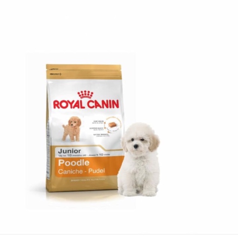 Thức ăn dành riêng cho chó Poodle nhỏ dưới 10 tháng Royalcanin 500g
