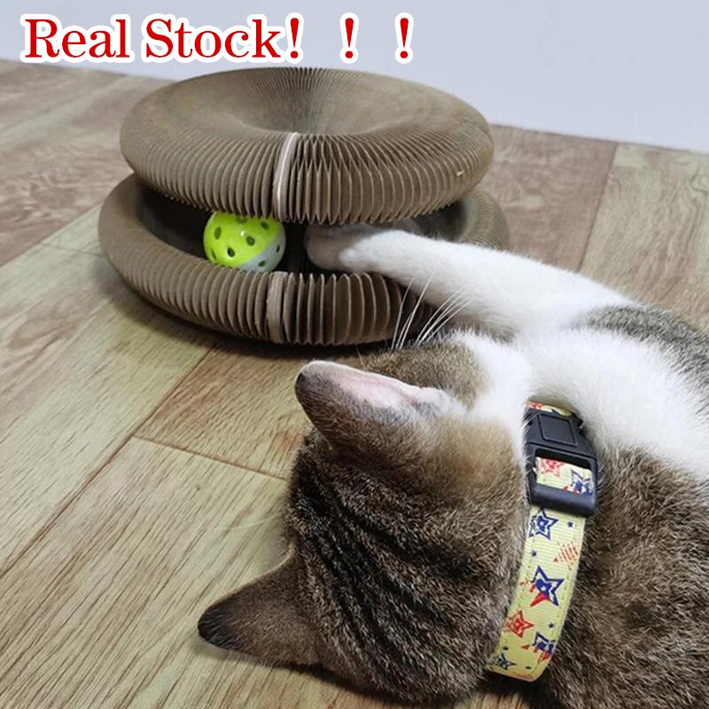 Bàn cào móng ma thuật cho mèo siêu vui nhộn