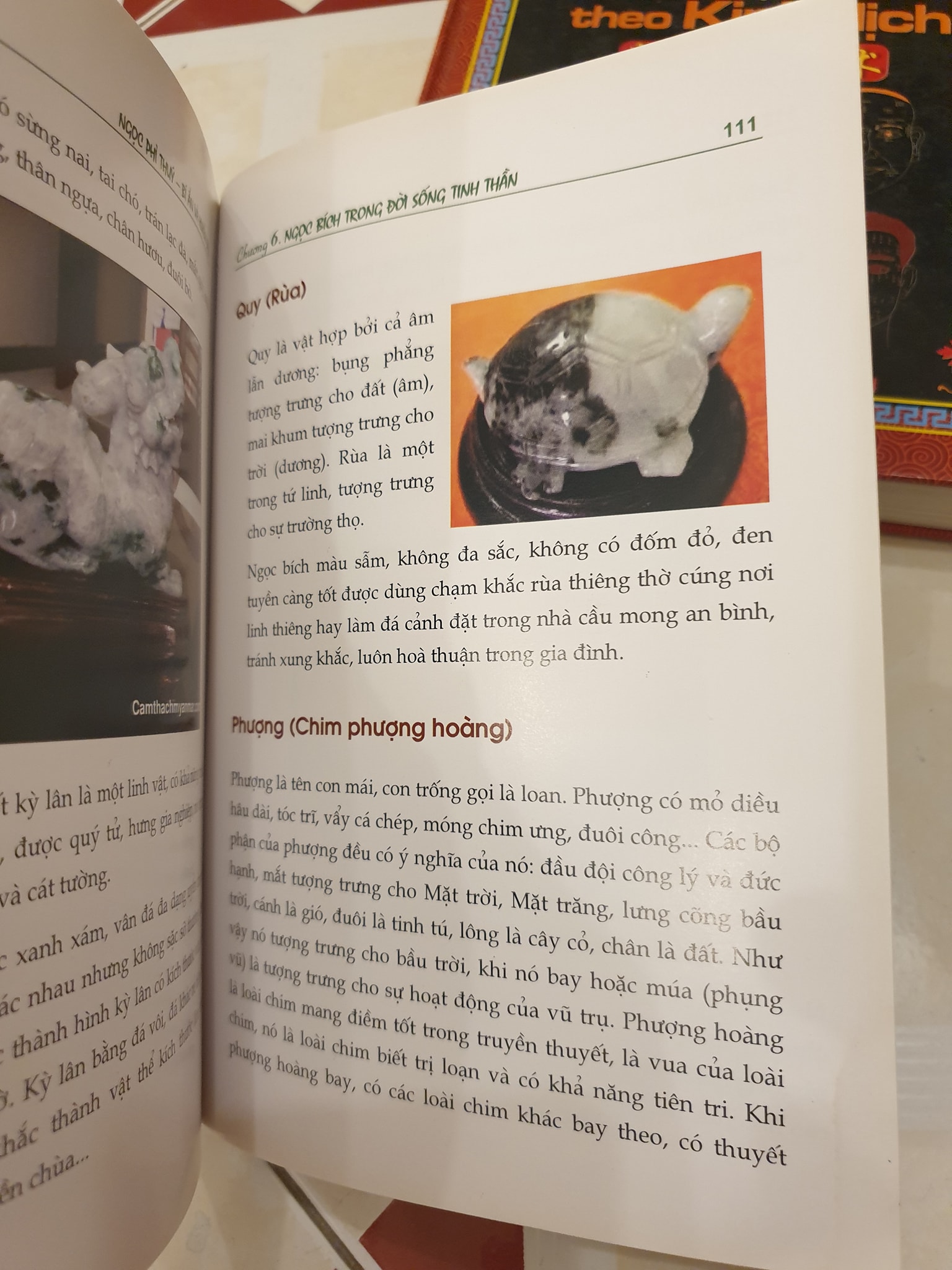 Sách Ngọc phỉ thúy bí ẩn và huyền diệu