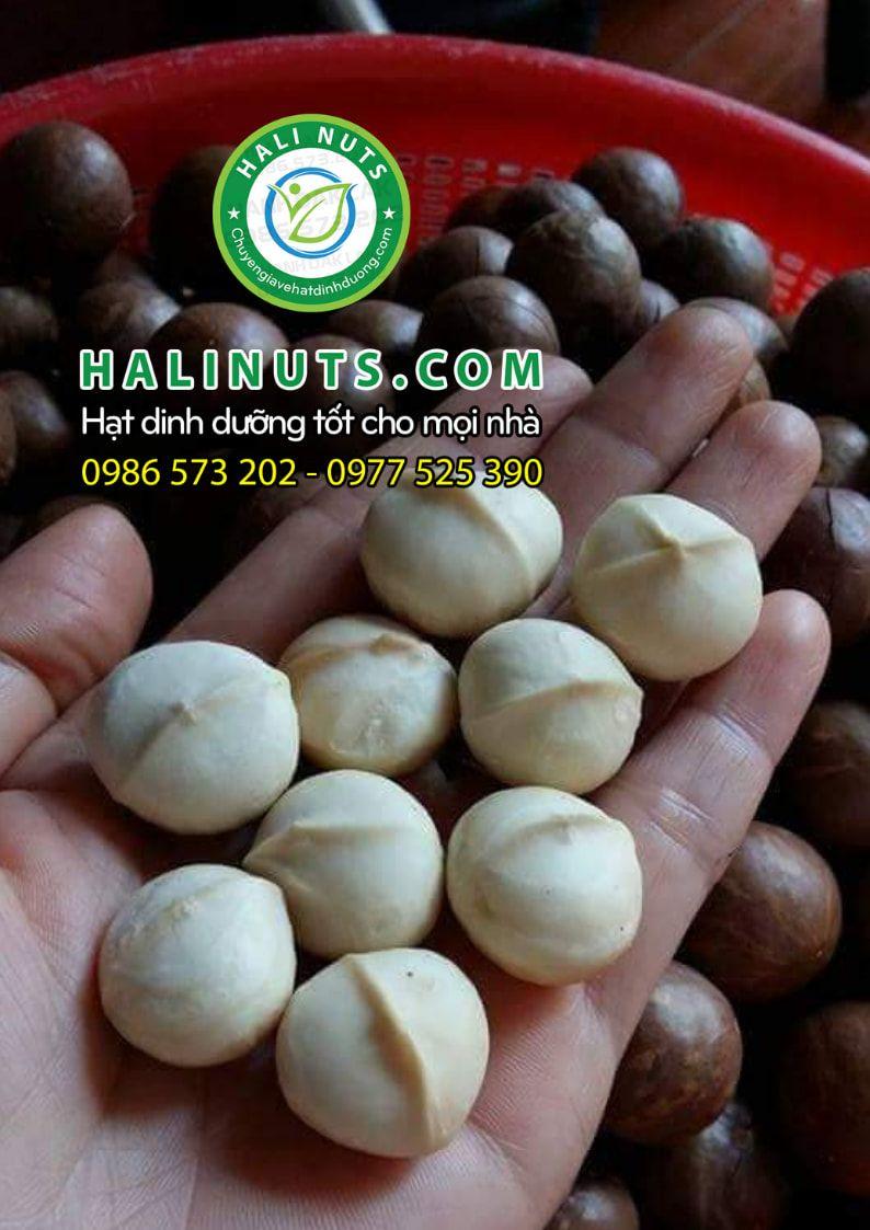 [HCM]Nhân hạt Macca Úc (500gr) - Hạt Macca tách vỏ