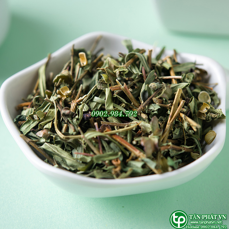Cây dạ cẩm sấy khô 1kg - Thảo Dược Tấn Phát