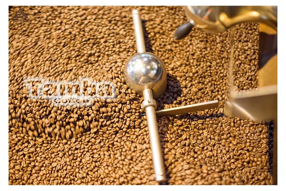Cà phê túi lọc Robusta - Dark Roast - Tamba Coffee - 150gr