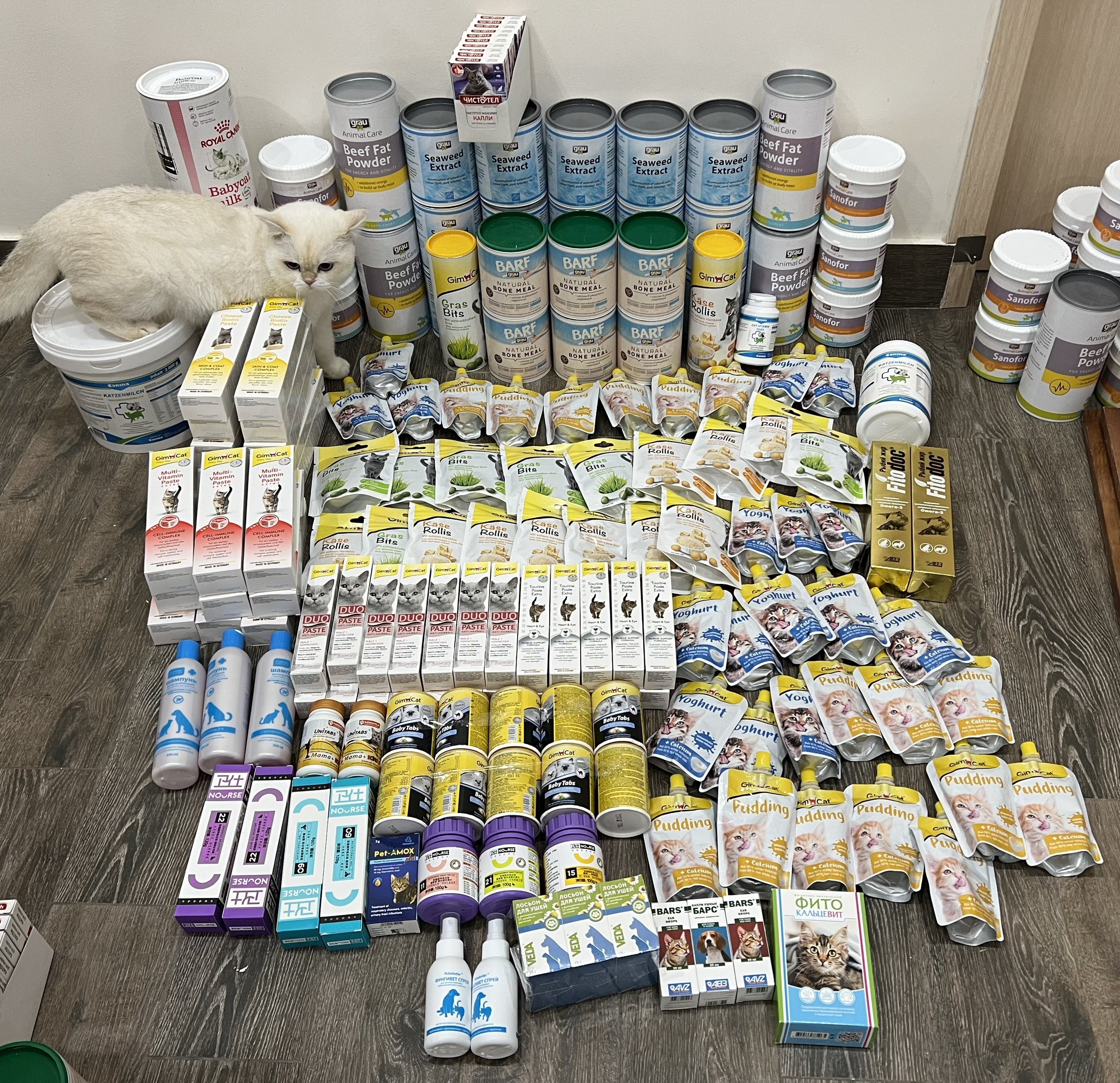NOURSE 11 MULTI VITAMIN CHO CHÓ MÈO 200 VIÊN