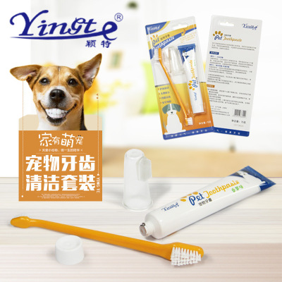 Bàn chải đánh răng cho thú cưng - Phụ kiện Long Vũ