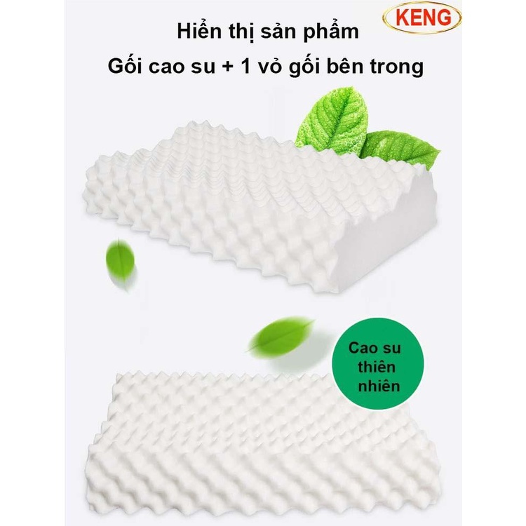 Gối cao su non Ventry cao cấp