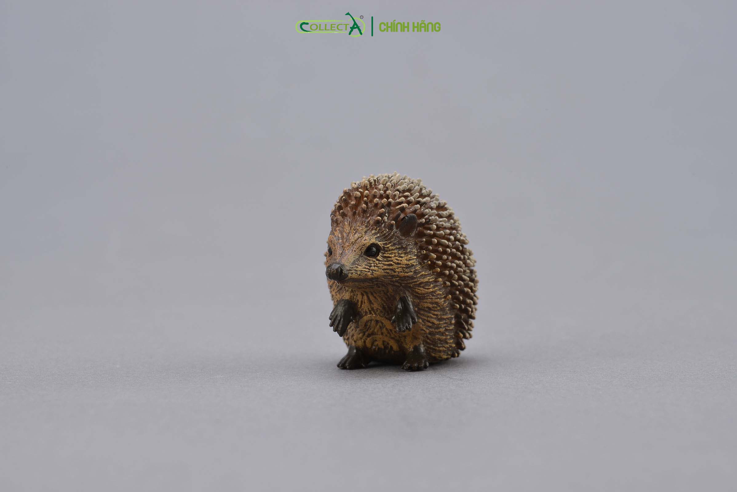 Đồ chơi mô hình động vật CollectA Nhím