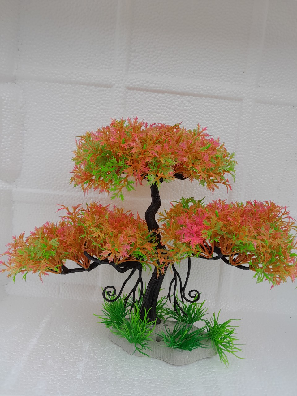 Bonsai bể Cá - Cỏ - Rong Trang Trí Bể Cá