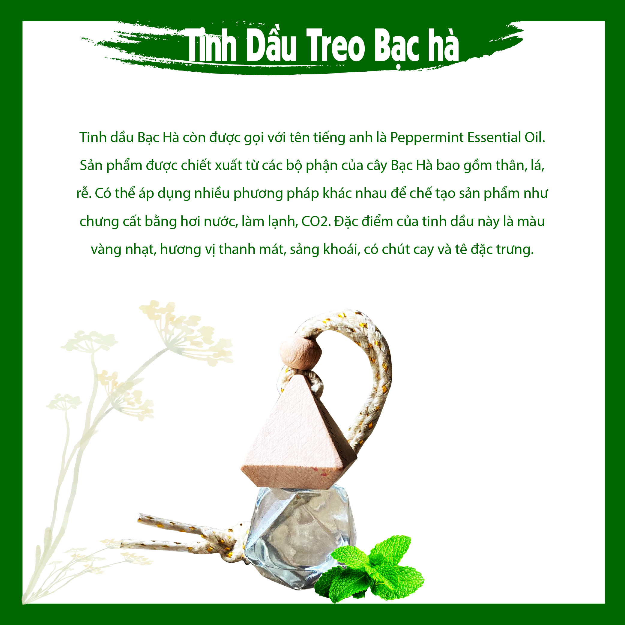 Tinh Dầu Treo Bạc Hà 8ml - Treo Thơm Phòng, Xe