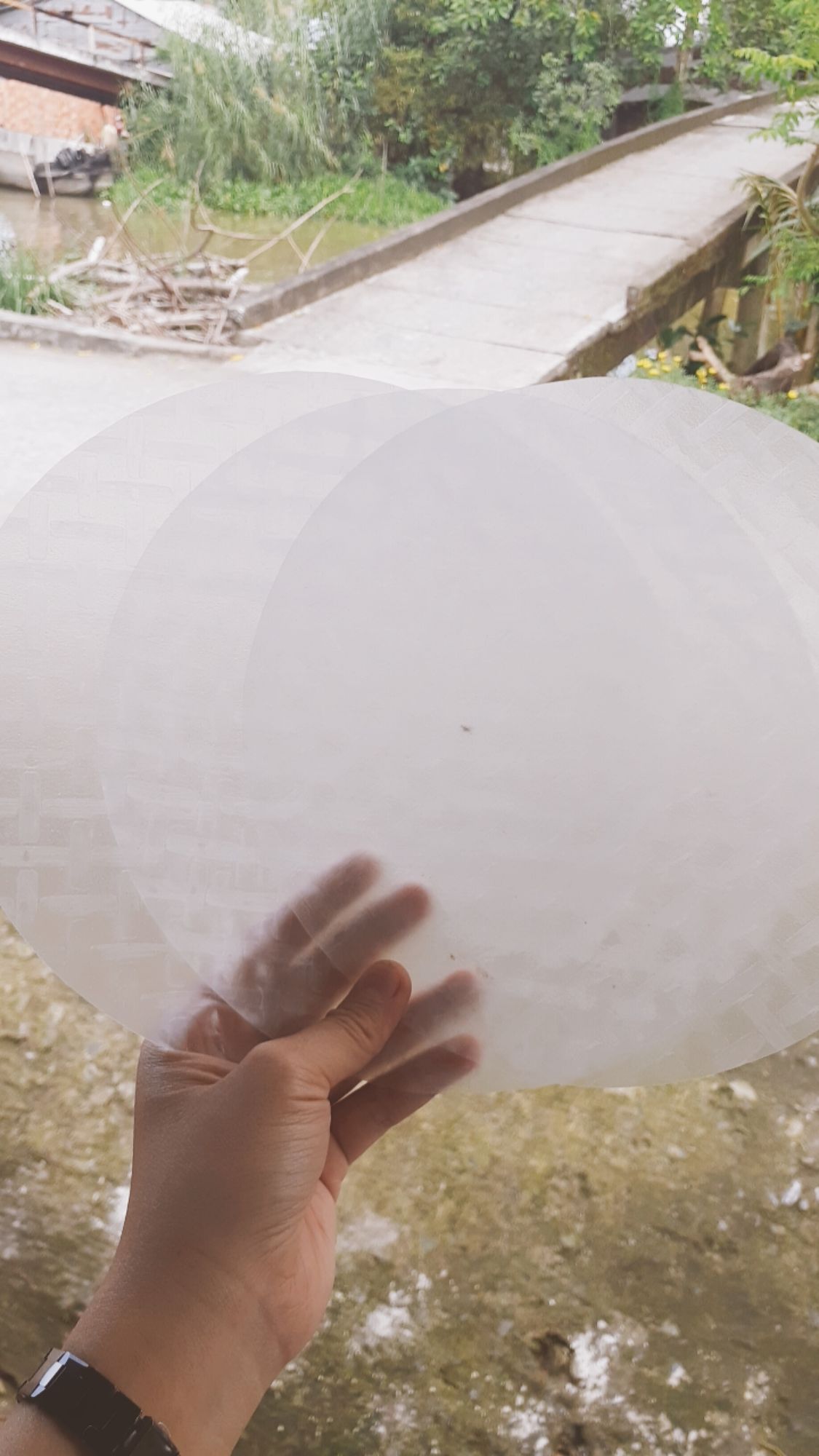Bánh tráng cuốn Tây Ninh