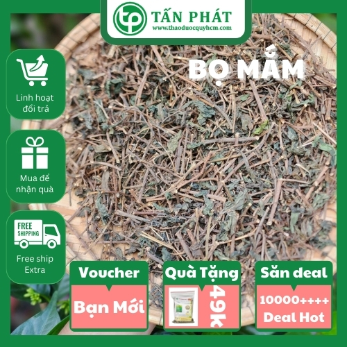 [Hàng mới về] Cây bọ mắm sấy khô 1kg - Thảo Dược Tấn Phát - Hỗ trợ cải thiện sức khỏe