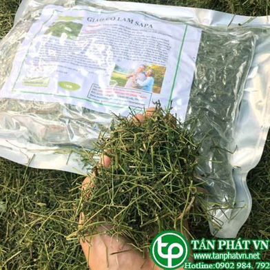 Giảo cổ lam 1kg sấy khô