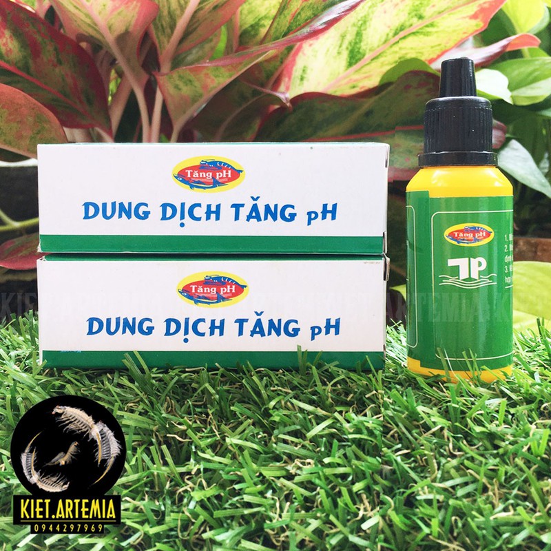 Dung Dịch Tăng pH Thủy Phước