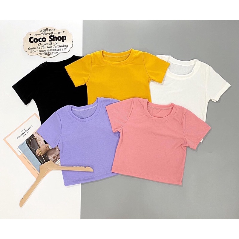 Áo thun trơn nữ cổ tròn ôm croptop hình thật