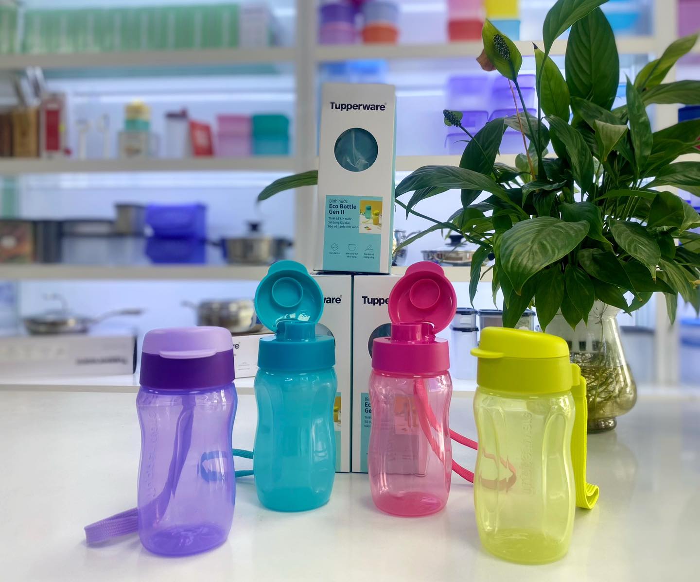 Bình Nước Tupperware Eco Bottle Gen II 310ml