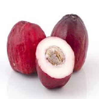Cây điều miền tây/ mận hoa đỏ- Đặc sản miền tây- Trái cây tuổi thơ- Hoa kiểng Nguyễn Lộc