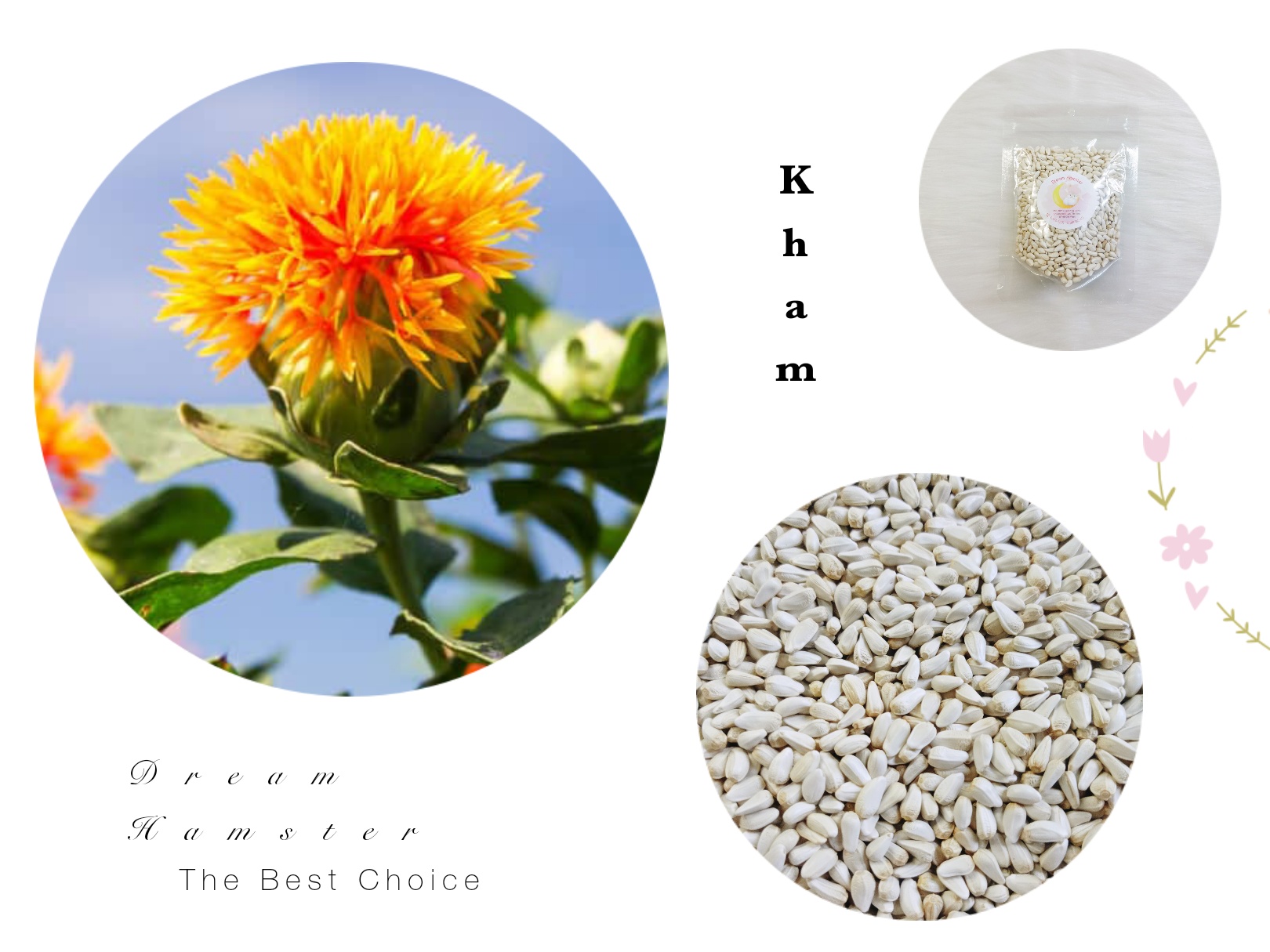 Hạt kham cho Hamster (100gr)