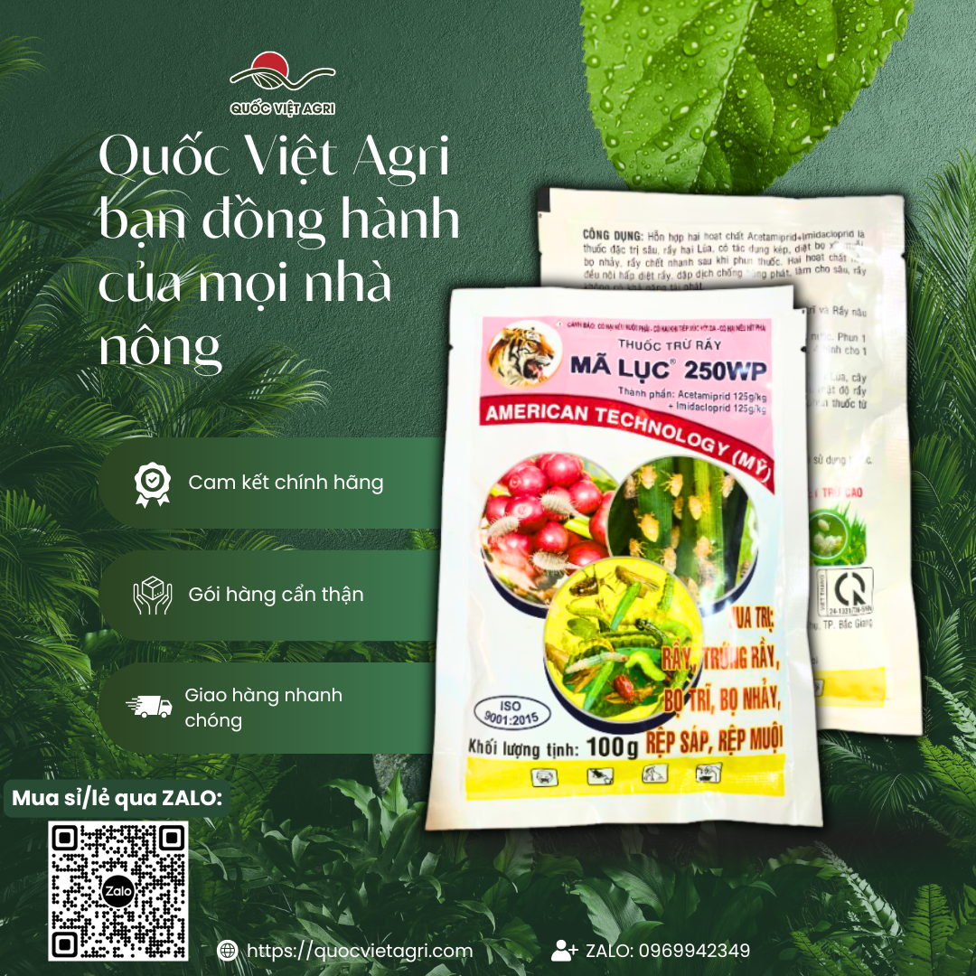 (1 gói - 20 gói) Thuốc trừ sâu rầy MÃ LỤC 250WP (100g) - Acetamiprid 125g/kg + Imidacloprid 125g/kg Diệt trừ rầy, trứng rầy, bọ trĩ, bọ nhảy, rệp sáp, rệp muội