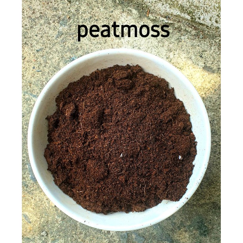 100g peatmoss than bùn rêu mục