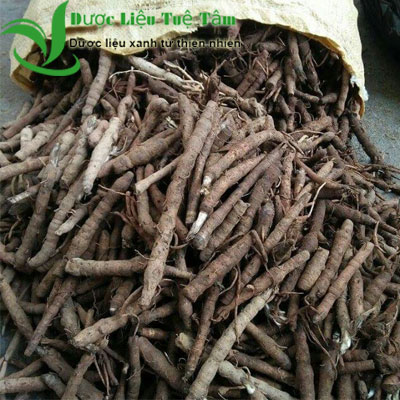 Sâm tiên mao - Sâm cau đen - Loại sấy khô cao cấp của công ty - Gói 1kg