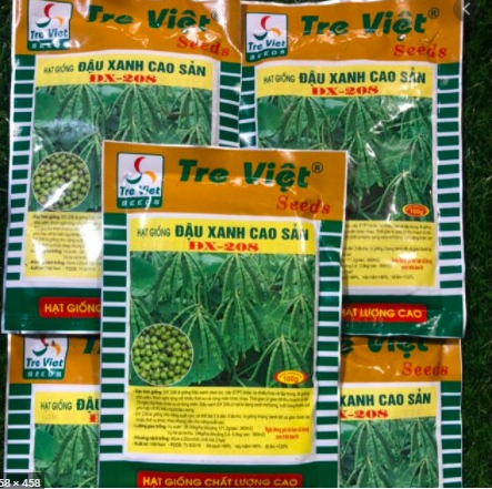 Hạt giống đậu xanh cao sản dx-208