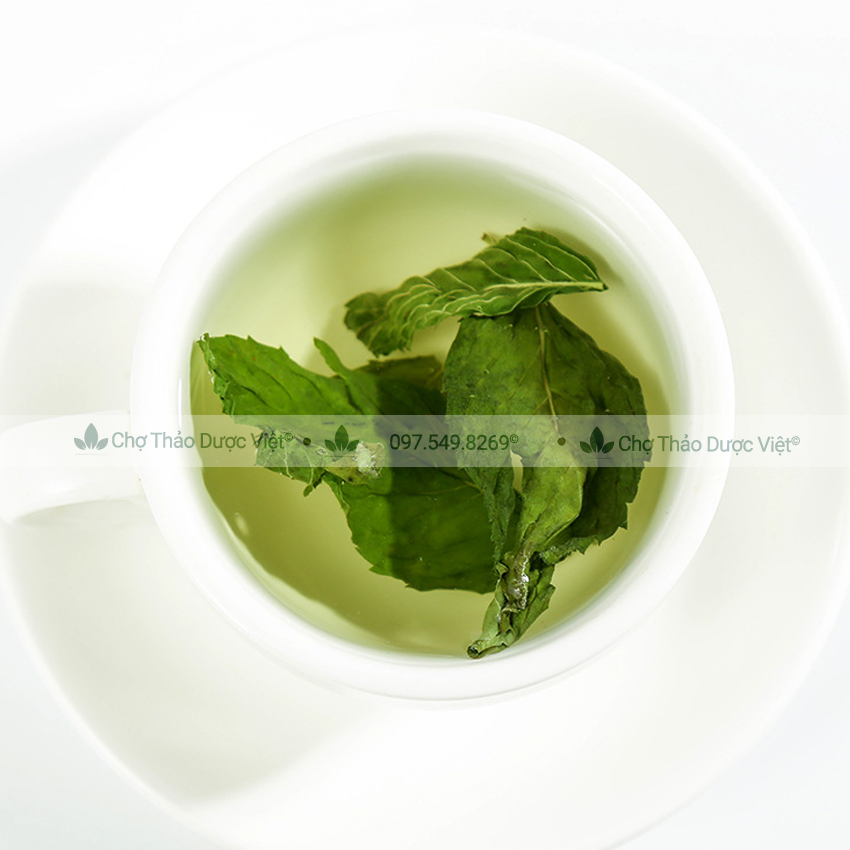 Lá bạc hà 500g (Bạc hà khô, thơm, sạch) - Chợ Thảo Dược Việt