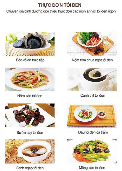 Máy làm tỏi đen gia đình Tiross TS908 (Thêm nút sây khô 2 giờ) (Đỏ)
