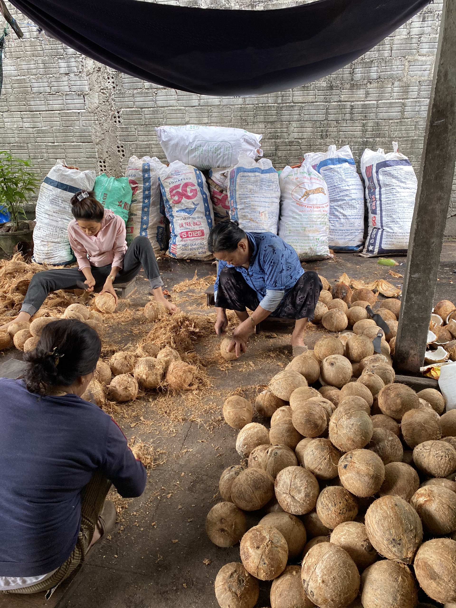 🥥Dừa sấy giòn Tam Quan Bình Định - GÓI 500GR