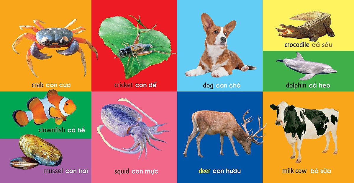Sách: 101 First Words /101 Từ Đầu Tiên (Trọn Bộ 6 Cuốn)