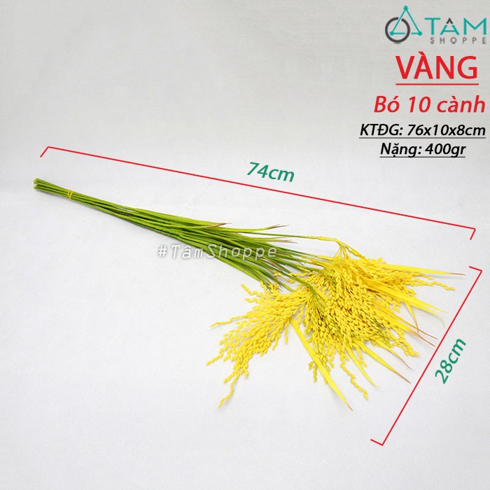 [HCM]Cành Bông Lúa Giả Trang Trí Y Như Thật - Fsfsdcsdcssd