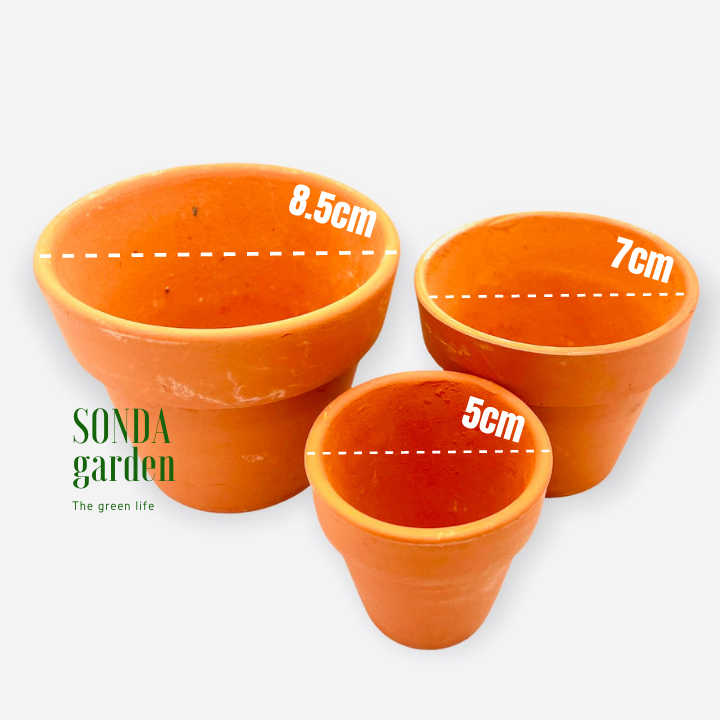 CHẬU ĐẤT NUNG NÂU SIÊU ĐẸP LỖI 1 ĐỔI 1