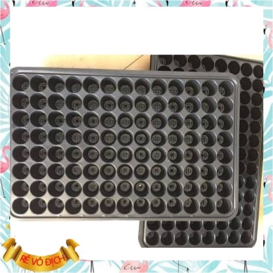 Khay Ươm Hạt Gống 104 lỗ