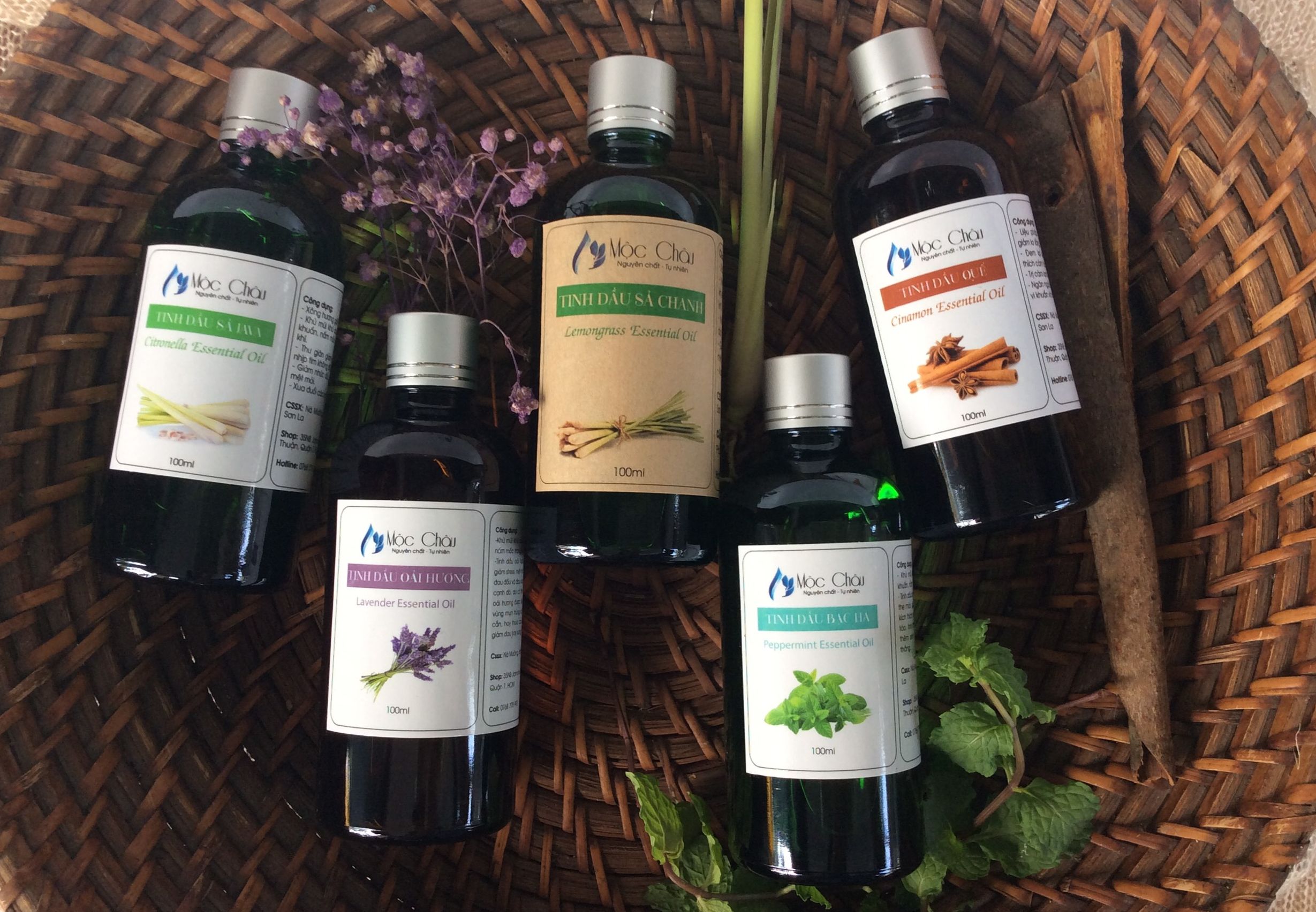 Tinh dầu Quế Mộc Châu - 10ml