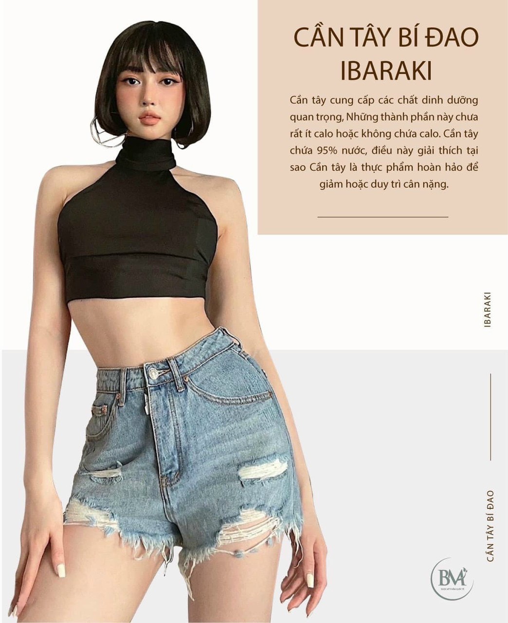 CẦN TÂY BÍ ĐAO IBARAKI