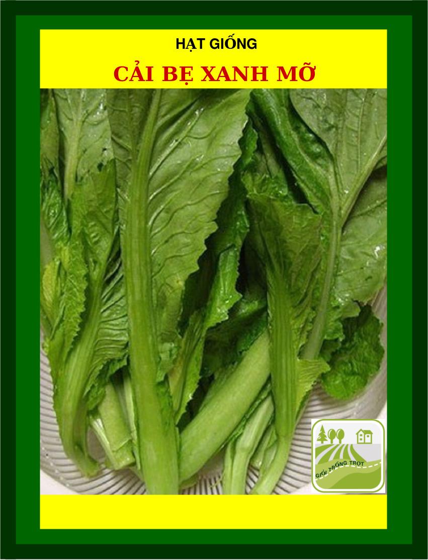 50G - Hạt Giống Cải Bẹ Xanh Mỡ