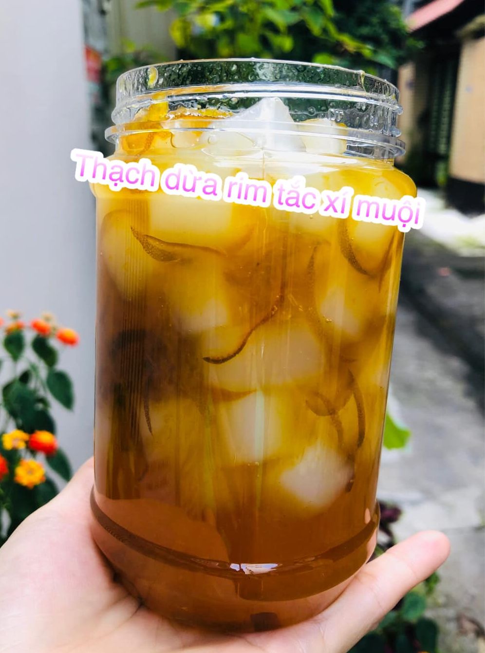 Thạch dừa rim tắc xí muội pha nước uống giải khát mùa nắng nóng hủ 550gr