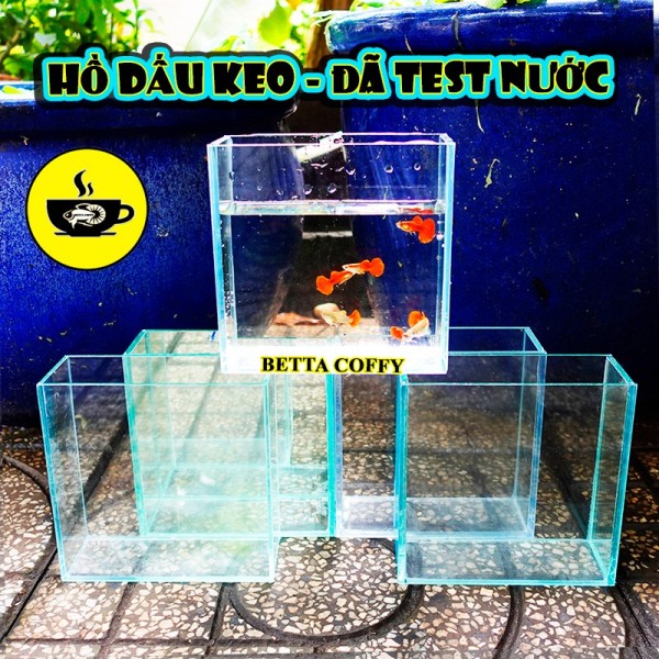 Bể Cá bằng kính mini - Hồ cá Betta (Dấu keo - Keo Đen Trắng)