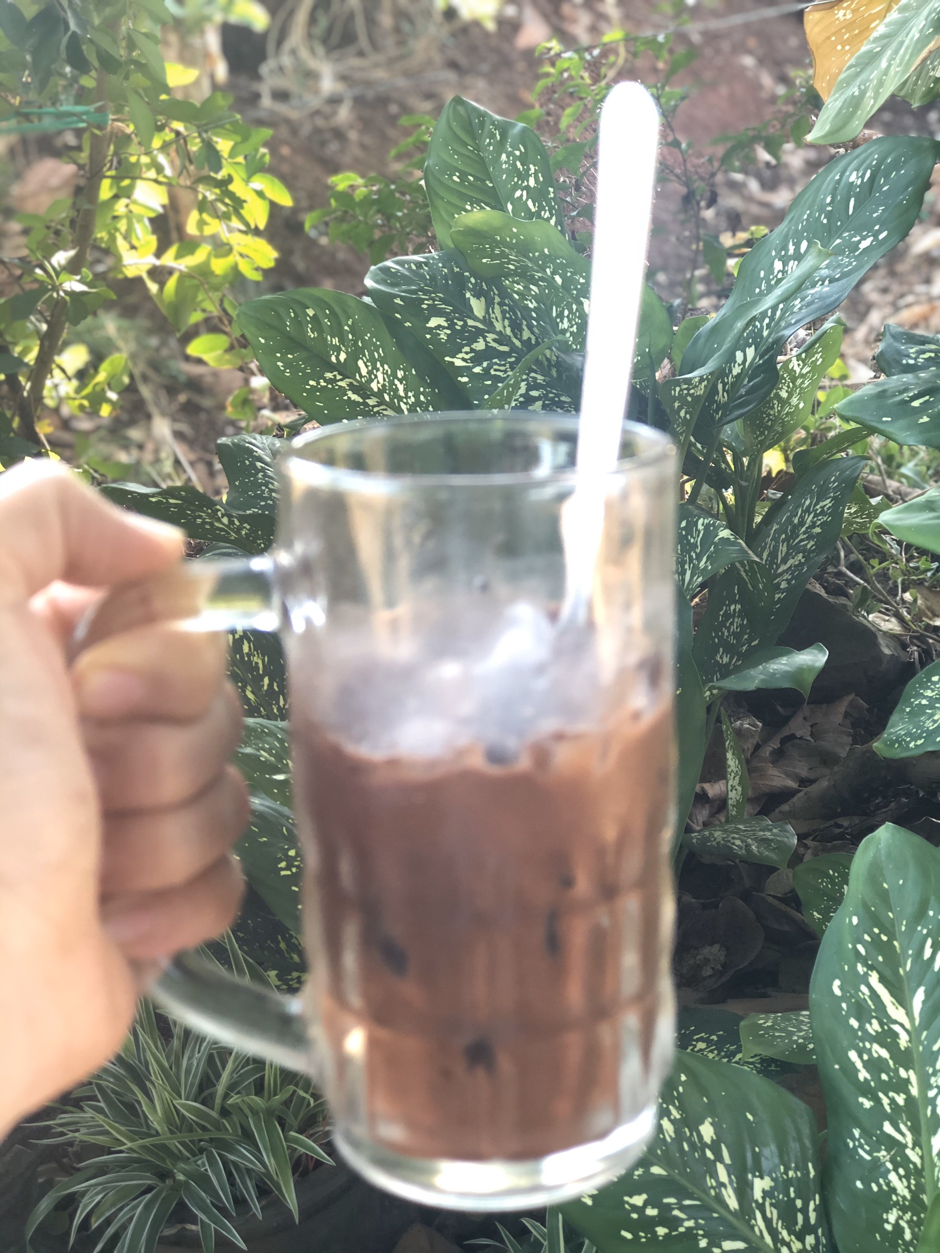 Bột Cacao Đăk Lăk 500g