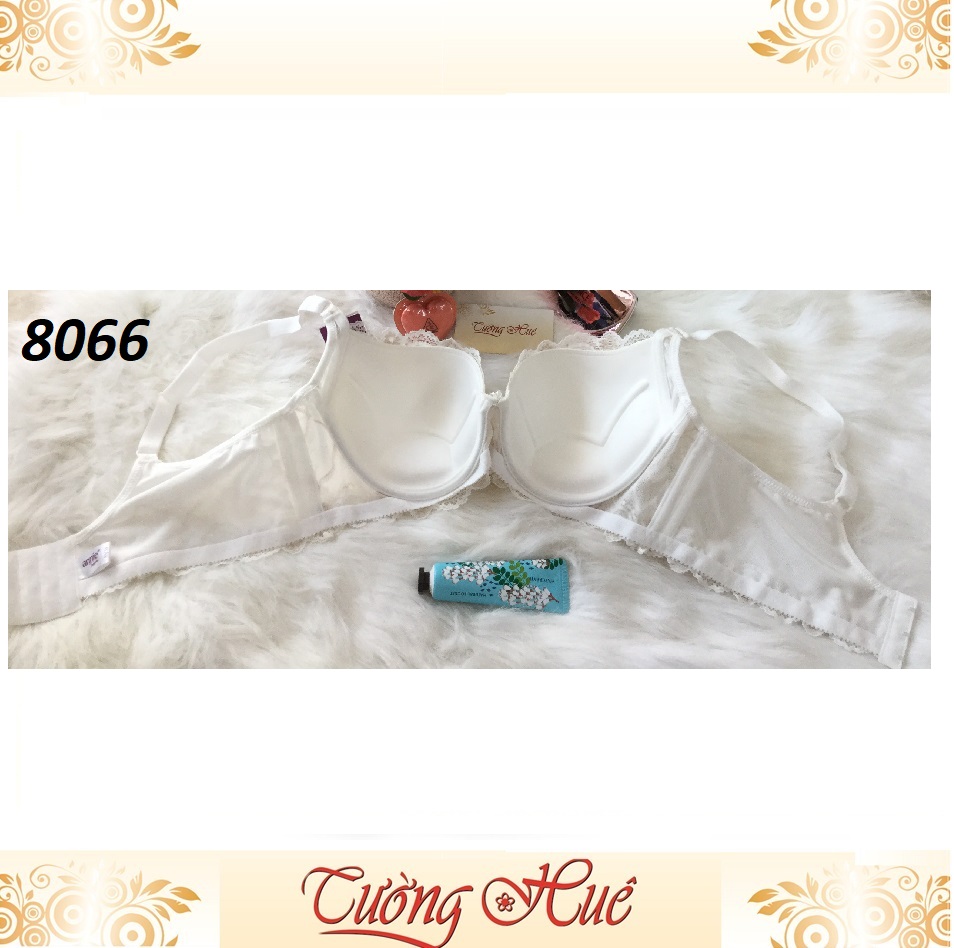 Áo lót nữ annie 8066 mút mỏng dây bảng lưng to.
